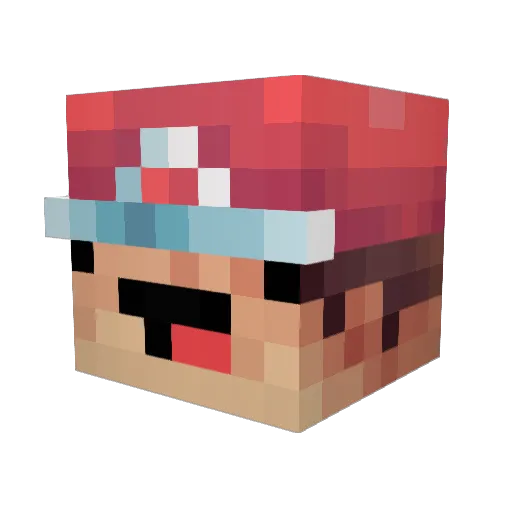 Kyrooz Minecraft avatar head, 3D render