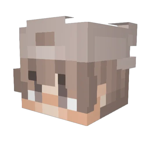 Kytashi Minecraft avatar head, 3D render