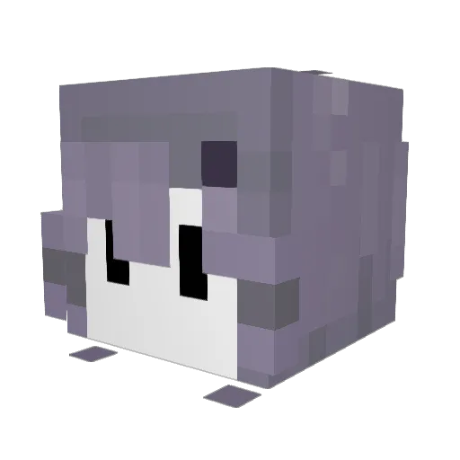 Kytjr Minecraft avatar head, 3D render