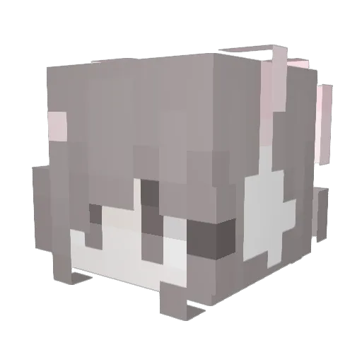 Kytusu Minecraft avatar head, 3D render