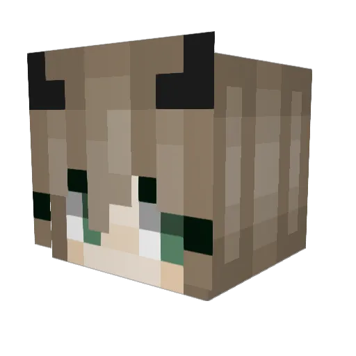 Kyubee_VT Minecraft avatar head, 3D render
