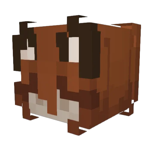 Kyuketsuki885 Minecraft avatar head, 3D render
