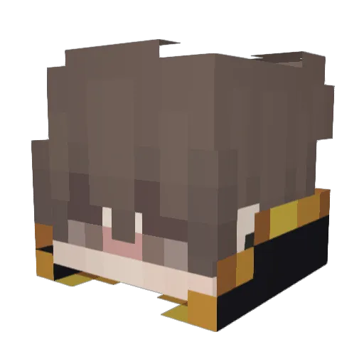 Kyuln Minecraft avatar head, 3D render