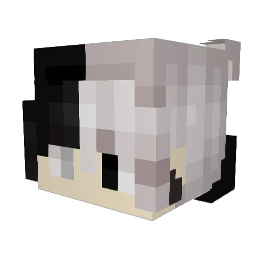 Kyumne Minecraft avatar head, 3D render