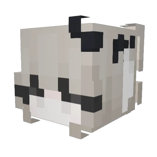 Kyunara Minecraft avatar head, 3D render