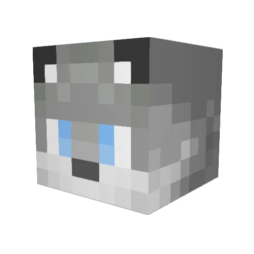 Kyurami Minecraft avatar head, 3D render