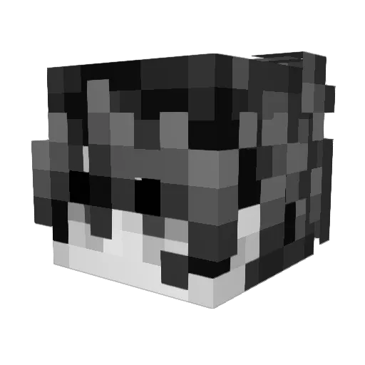 Kyushyn Minecraft avatar head, 3D render