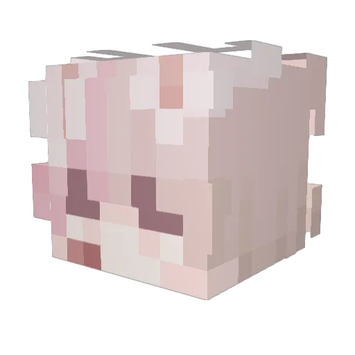 Kyuteai Minecraft avatar head, 3D render