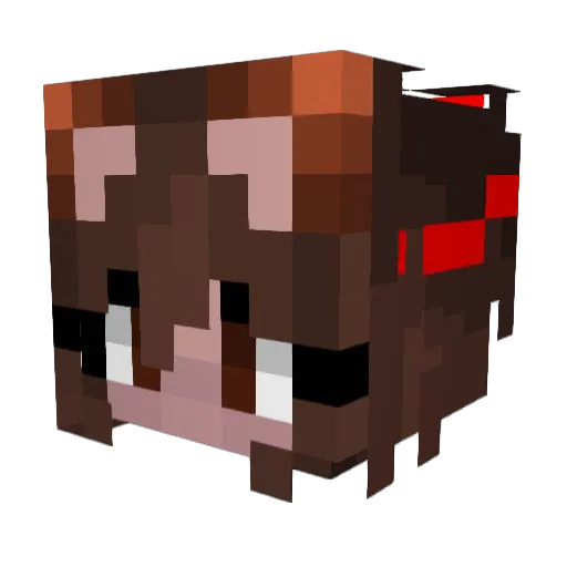 Kyuteru Minecraft avatar head, 3D render