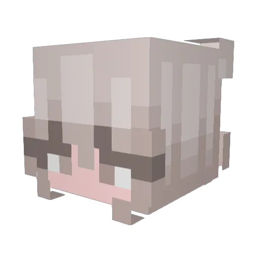 Kyuutenezu Minecraft avatar head, 3D render
