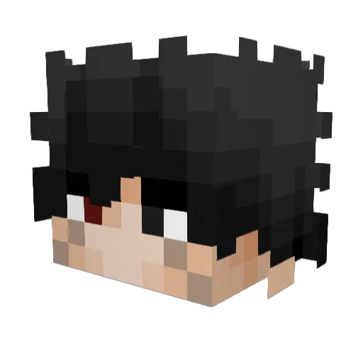 Kywonu Minecraft avatar head, 3D render