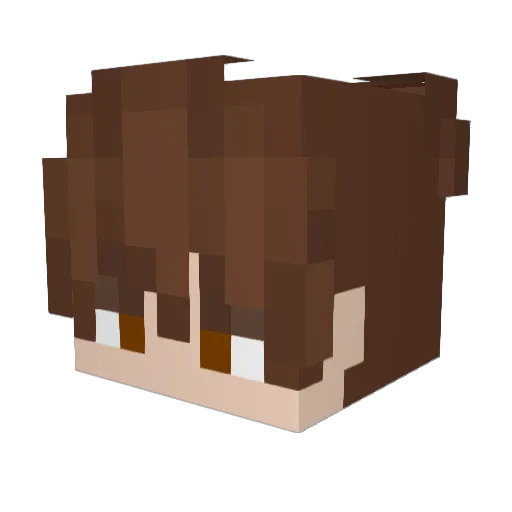 Kz255 Minecraft avatar head, 3D render