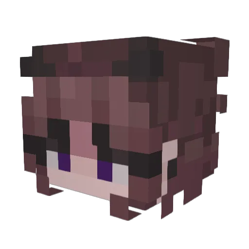 Kzc352 Minecraft avatar head, 3D render