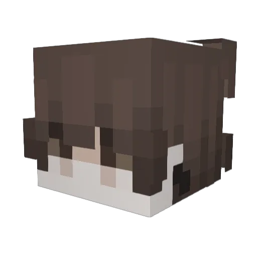 Kzvb Minecraft avatar head, 3D render