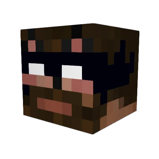 L00Ackk Minecraft avatar head, 3D render