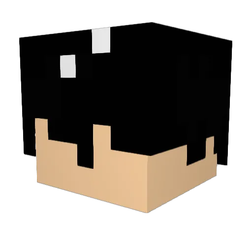 L0ENL1 Minecraft avatar head, 3D render