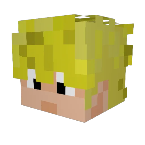 L0ST_20 Minecraft avatar head, 3D render