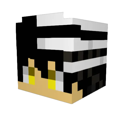 L0VERB0Y77 Minecraft avatar head, 3D render