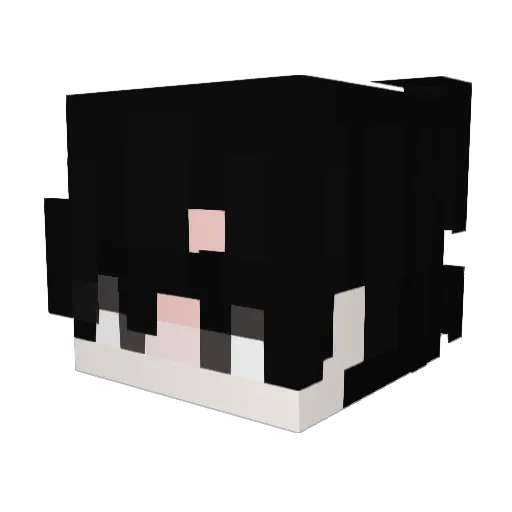 L0cifwr_ Minecraft avatar head, 3D render
