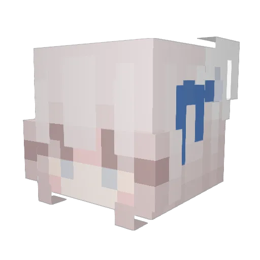 L0liDaisuki Minecraft avatar head, 3D render