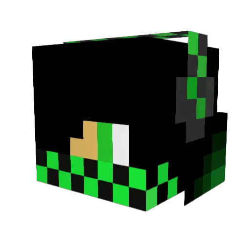 L0ne_Wolf_555 Minecraft avatar head, 3D render