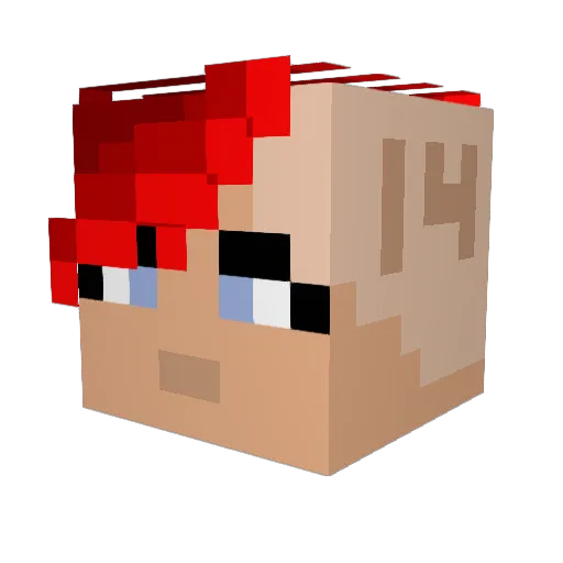 L0nelyRaven Minecraft avatar head, 3D render