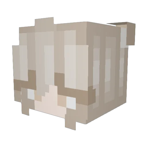 L0ner_Ari Minecraft avatar head, 3D render