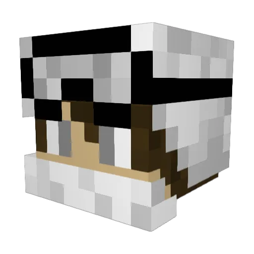 L0rD_Peter Minecraft avatar head, 3D render