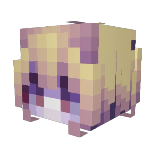 L0sk1 Minecraft avatar head, 3D render