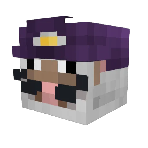 L0xosceles Minecraft avatar head, 3D render