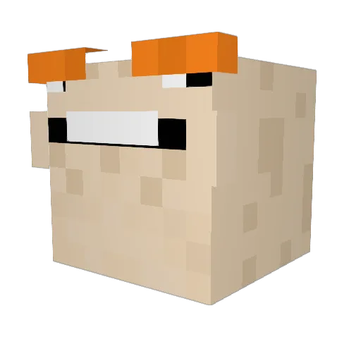 L1L_Nugget Minecraft avatar head, 3D render