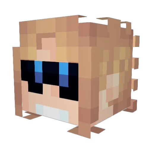 L1TTL3_H0SH1 Minecraft avatar head, 3D render