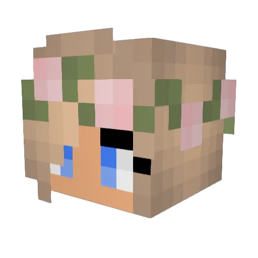 L1TTLE_N1NJA Minecraft avatar head, 3D render