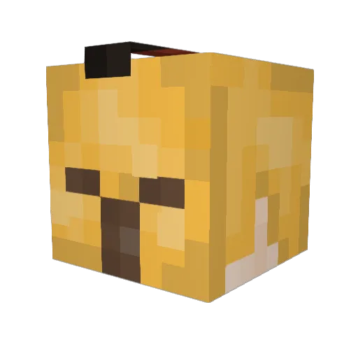 L1ZARDK1NG006 Minecraft avatar head, 3D render