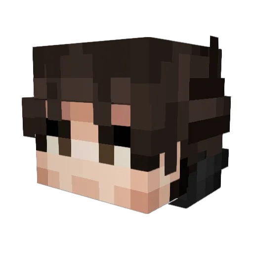 L1ghtrider Minecraft avatar head, 3D render