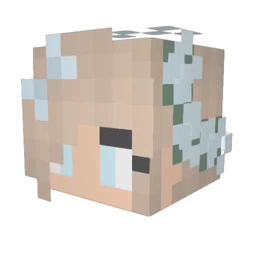 L1ly800 Minecraft avatar head, 3D render