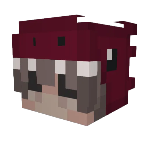 L1ndqv1st Minecraft avatar head, 3D render