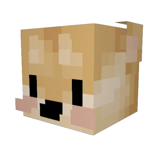L1ngu_ Minecraft avatar head, 3D render