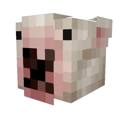 L1ooo0 Minecraft avatar head, 3D render