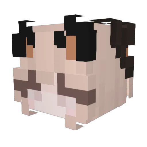 L1ttle_K1tty Minecraft avatar head, 3D render