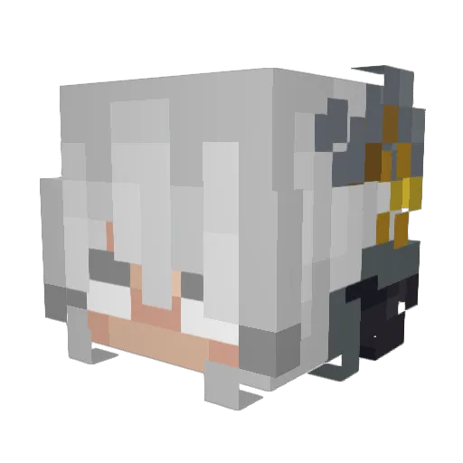 L1uAn_ Minecraft avatar head, 3D render