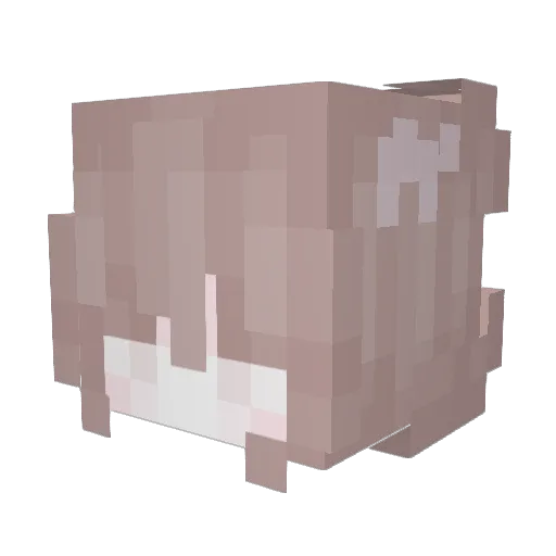 L2ei Minecraft avatar head, 3D render