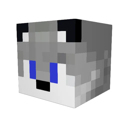 L33t_Crafter Minecraft avatar head, 3D render