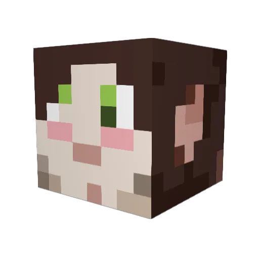 L33tsaber Minecraft avatar head, 3D render