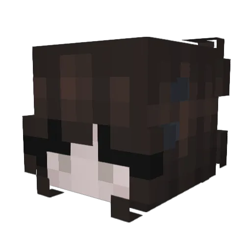 L3Ca_ Minecraft avatar head, 3D render