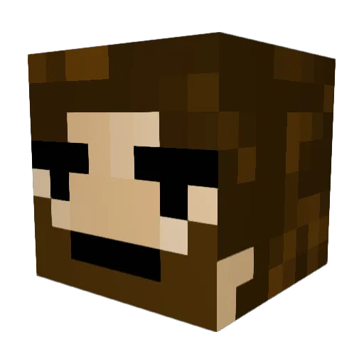 L3N_ Minecraft avatar head, 3D render