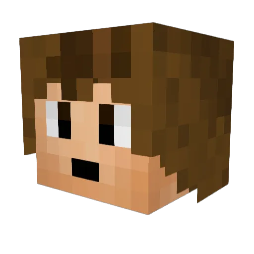 L3O99 Minecraft avatar head, 3D render