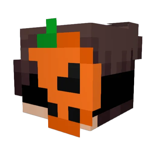 L3TR44 Minecraft avatar head, 3D render