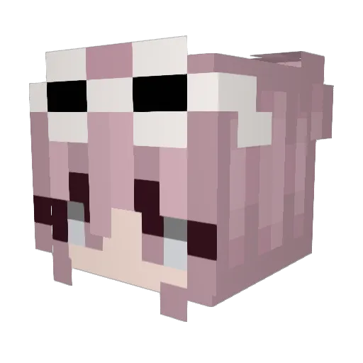 L3_Guin Minecraft avatar head, 3D render