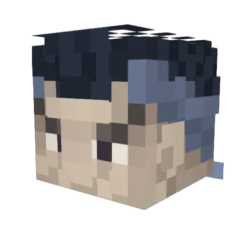 L3br0n_Jam3s Minecraft avatar head, 3D render